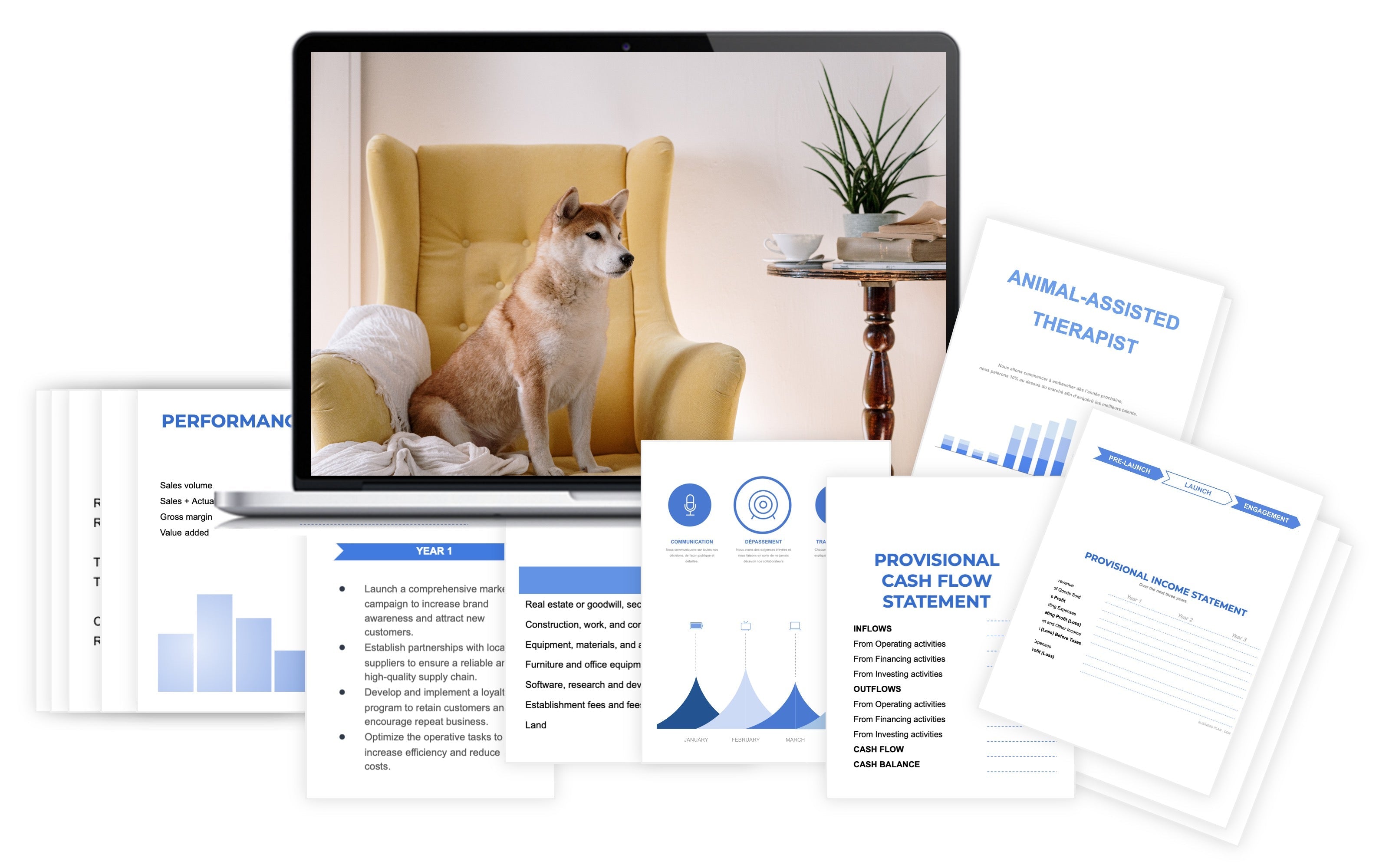 Animal-assisted Therapist Financial Plan