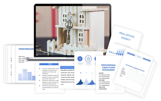 Real Estate Agency Financial Plan