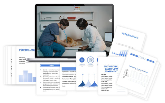 Vet Clinic Financial Plan